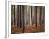 Light Touch-David Baker-Framed Photographic Print