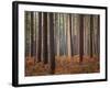 Light Touch-David Baker-Framed Photographic Print