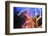 Light Trails, Traffic, Abstract, Dynamic, Rush-Hour Traffic-Axel Schmies-Framed Photographic Print