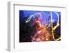 Light Trails, Traffic, Abstract, Dynamic, Rush-Hour Traffic-Axel Schmies-Framed Photographic Print