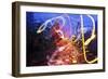 Light Trails, Traffic, Abstract, Dynamic, Rush-Hour Traffic-Axel Schmies-Framed Photographic Print