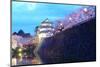 Light up of Hirosaki Castle and Cherry Blossoms-tamikosan-Mounted Photographic Print