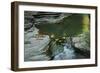 Light Upon Water-Anthony Paladino-Framed Giclee Print