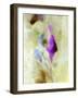 Light Was Good-Ruth Palmer-Framed Art Print