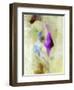 Light Was Good-Ruth Palmer-Framed Art Print