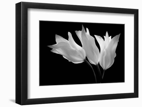 Light Winds, 2007-Hiroyuki Arakawa-Framed Photographic Print