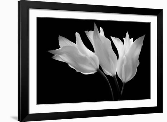 Light Winds, 2007-Hiroyuki Arakawa-Framed Photographic Print