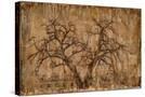 Stretched Canvas