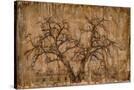 Stretched Canvas