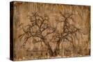Stretched Canvas