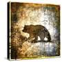 Stretched Canvas
