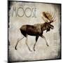 Wood Mount