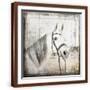 Brown Frame