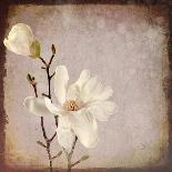 Paper Magnolia-LightBoxJournal-Giclee Print