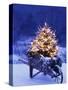 Lighted Christmas Tree in Wheelbarrow-Jim Craigmyle-Stretched Canvas