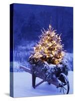 Lighted Christmas Tree in Wheelbarrow-Jim Craigmyle-Stretched Canvas