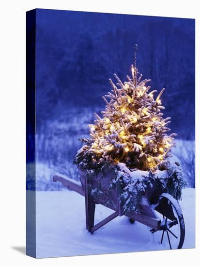 Lighted Christmas Tree in Wheelbarrow-Jim Craigmyle-Stretched Canvas