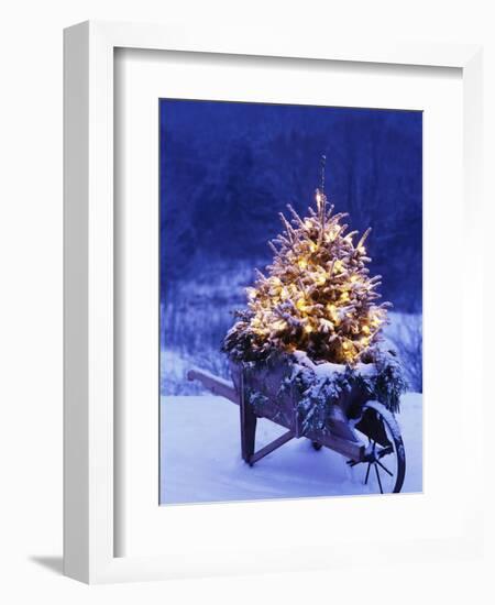 Lighted Christmas Tree in Wheelbarrow-Jim Craigmyle-Framed Photographic Print