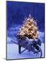Lighted Christmas Tree in Wheelbarrow-Jim Craigmyle-Mounted Photographic Print