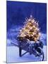 Lighted Christmas Tree in Wheelbarrow-Jim Craigmyle-Mounted Photographic Print