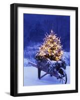 Lighted Christmas Tree in Wheelbarrow-Jim Craigmyle-Framed Photographic Print