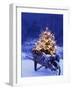 Lighted Christmas Tree in Wheelbarrow-Jim Craigmyle-Framed Photographic Print