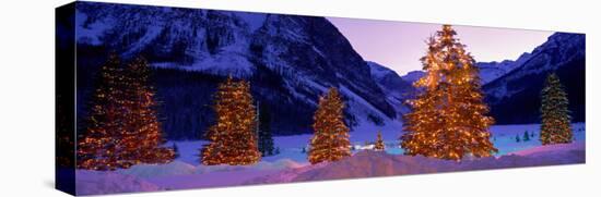 Lighted Christmas Trees, Chateau Lake Louise, Lake Louise, Alberta, Canada-null-Stretched Canvas