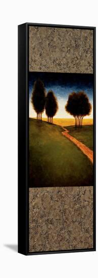 Lighted Path II-Gregory Williams-Framed Stretched Canvas