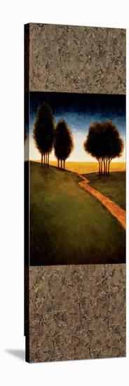 Lighted Path II-Gregory Williams-Stretched Canvas