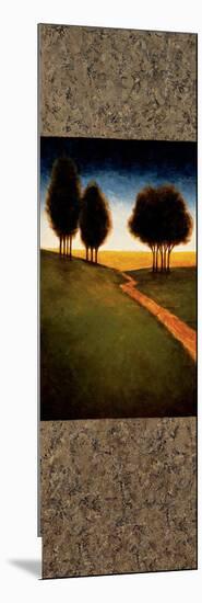 Lighted Path II-Gregory Williams-Mounted Art Print