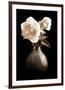 Lighted White Roses-Christine Zalewski-Framed Premium Giclee Print