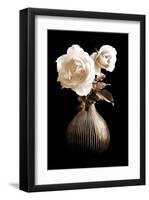 Lighted White Roses-Christine Zalewski-Framed Art Print