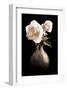 Lighted White Roses-Christine Zalewski-Framed Art Print