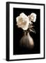 Lighted White Roses-Christine Zalewski-Framed Art Print