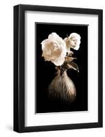 Lighted White Roses-Christine Zalewski-Framed Art Print