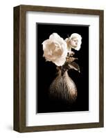 Lighted White Roses-Christine Zalewski-Framed Art Print