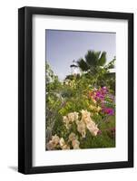 Lighthouse and Bougainvillea-George Oze-Framed Photographic Print