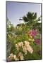 Lighthouse and Bougainvillea-George Oze-Mounted Photographic Print