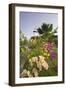 Lighthouse and Bougainvillea-George Oze-Framed Photographic Print