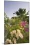 Lighthouse and Bougainvillea-George Oze-Mounted Photographic Print