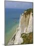 Lighthouse and Chalk Cliffs at Beachy Head, Near Eastbourne, East Sussex, England, UK-Philip Craven-Mounted Photographic Print