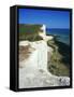 Lighthouse and Chalk Cliffs of Beachy Head Near Eastbourne from the South Downs Way, East Sussex-David Hughes-Framed Stretched Canvas