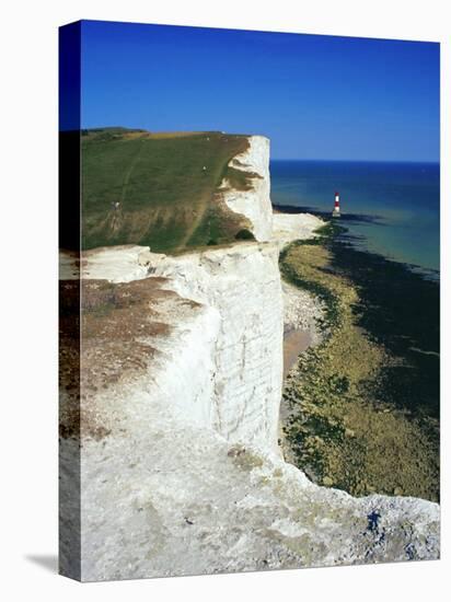 Lighthouse and Chalk Cliffs of Beachy Head Near Eastbourne from the South Downs Way, East Sussex-David Hughes-Stretched Canvas