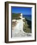 Lighthouse and Chalk Cliffs of Beachy Head Near Eastbourne from the South Downs Way, East Sussex-David Hughes-Framed Photographic Print
