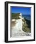 Lighthouse and Chalk Cliffs of Beachy Head Near Eastbourne from the South Downs Way, East Sussex-David Hughes-Framed Photographic Print