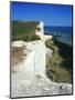 Lighthouse and Chalk Cliffs of Beachy Head Near Eastbourne from the South Downs Way, East Sussex-David Hughes-Mounted Photographic Print