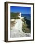 Lighthouse and Chalk Cliffs of Beachy Head Near Eastbourne from the South Downs Way, East Sussex-David Hughes-Framed Photographic Print