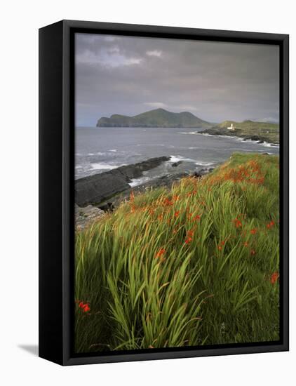 Lighthouse and Doulus Head, Valentia Island, Ring of Kerry, Co. Kerry, Munster, Republic of Ireland-Patrick Dieudonne-Framed Stretched Canvas