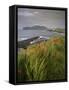 Lighthouse and Doulus Head, Valentia Island, Ring of Kerry, Co. Kerry, Munster, Republic of Ireland-Patrick Dieudonne-Framed Stretched Canvas