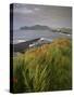 Lighthouse and Doulus Head, Valentia Island, Ring of Kerry, Co. Kerry, Munster, Republic of Ireland-Patrick Dieudonne-Stretched Canvas